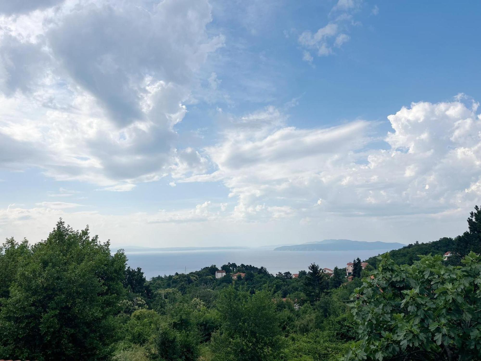 Ruscus, Veprinac, *